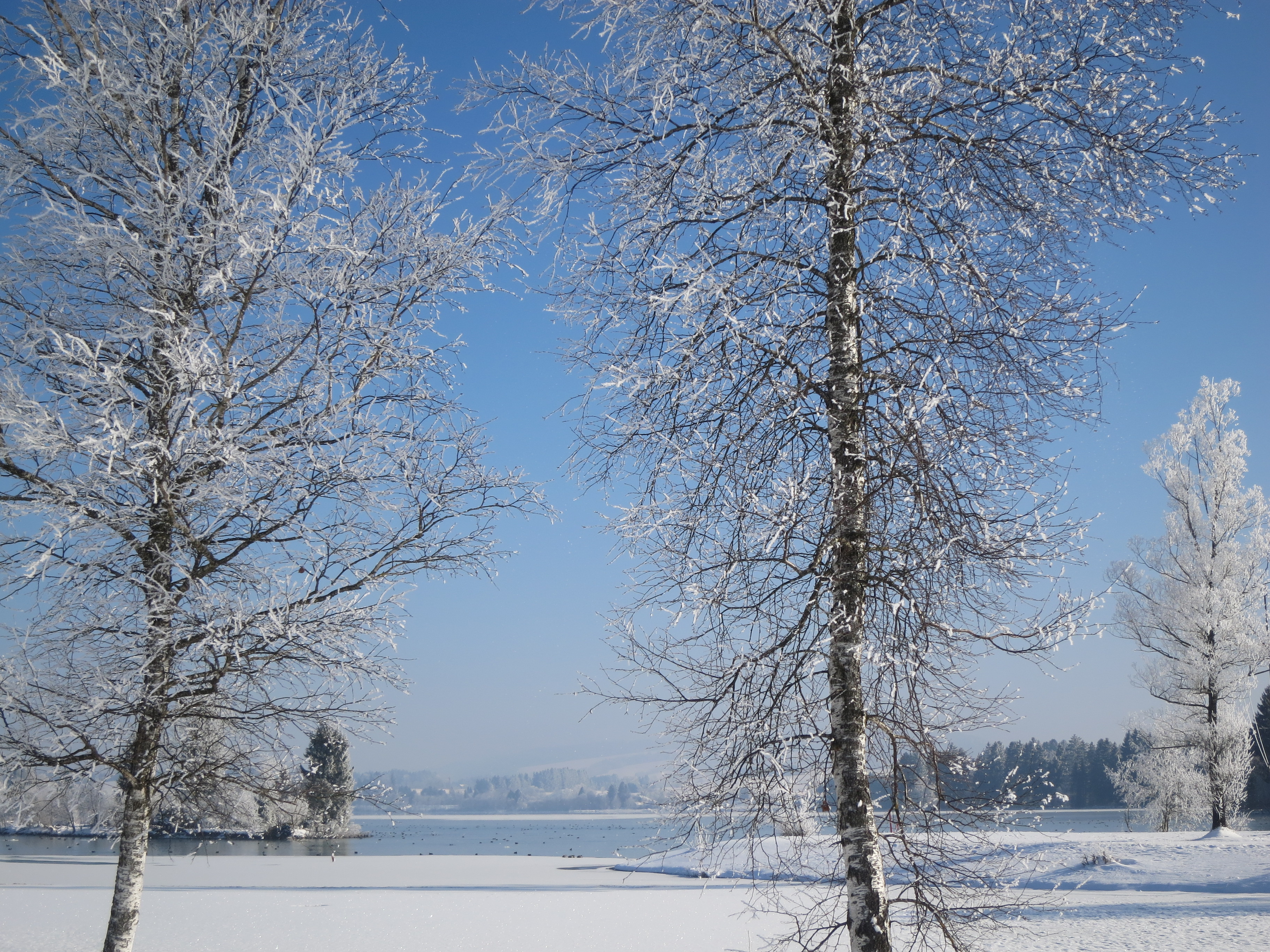 Lechsee im Winter,kalt,sonnig